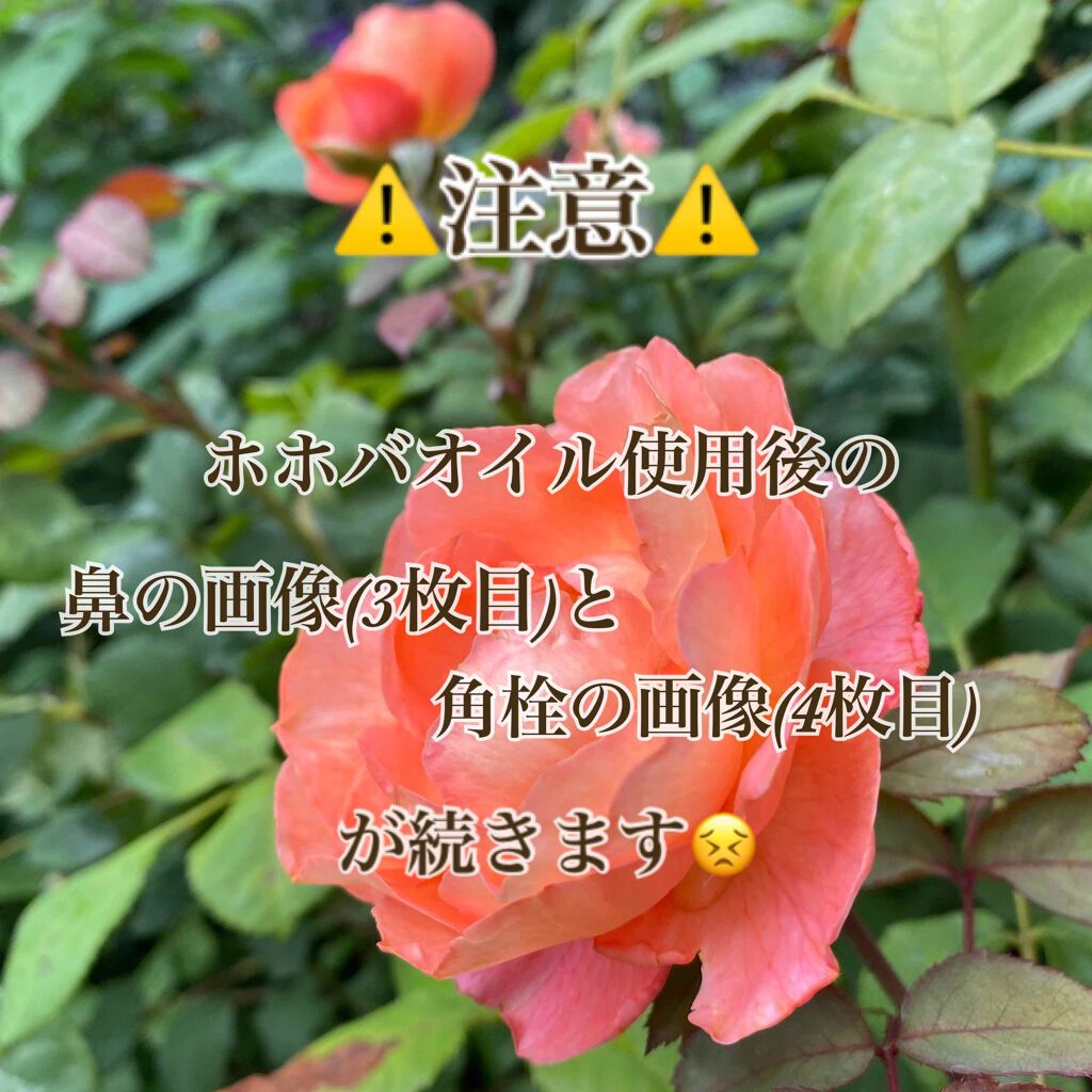 ホホバオイル/無印良品/ボディオイルを使ったクチコミ(2枚目)