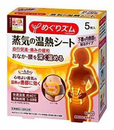 蒸気の温熱シート 下着の内側面に貼るタイプ/めぐりズム/その他を使ったクチコミ（1枚目）