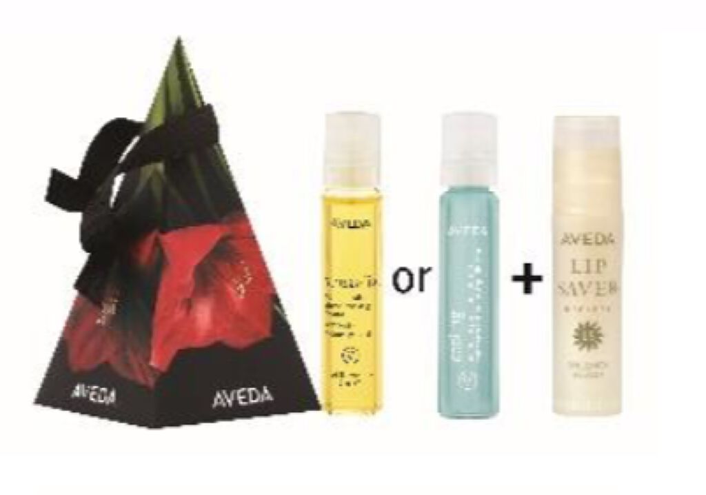 AVEDA ホリデー モイスチュアケア ギフト