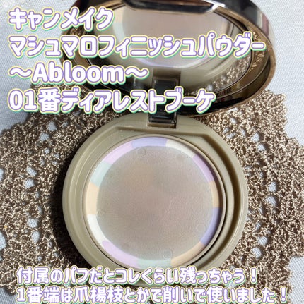 マシュマロフィニッシュパウダー ~Abloom~/キャンメイク/プレストパウダーを使ったクチコミ(2枚目)