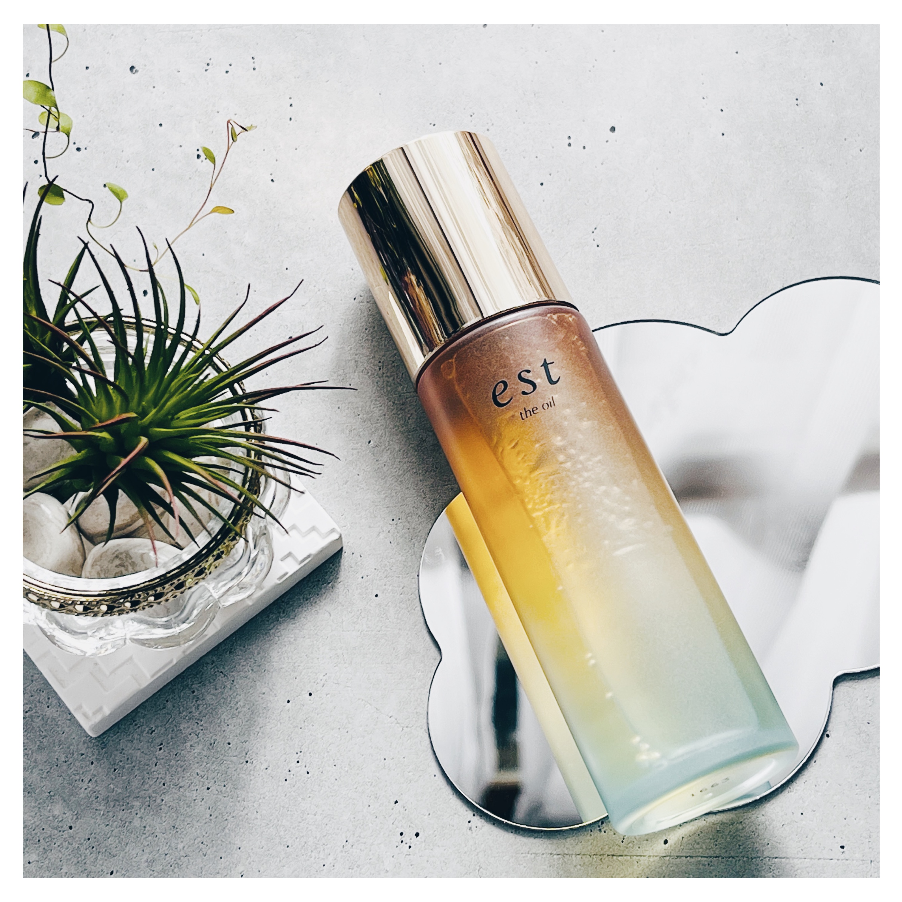 ザ オイル/est/フェイスオイルを使ったクチコミ（2枚目）