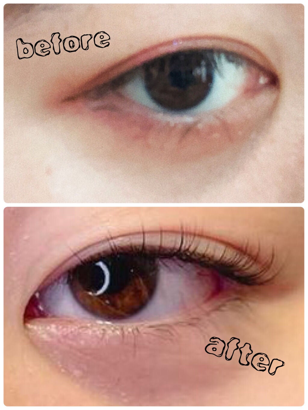 ラッシュジェリードロップ EX/MAJOLICA MAJORCA/まつげ美容液を使ったクチコミ(2枚目)