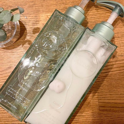 プルント コントロール美容液シャンプー/トリートメント/Purunt./市販シャンプーを使ったクチコミ(3枚目)