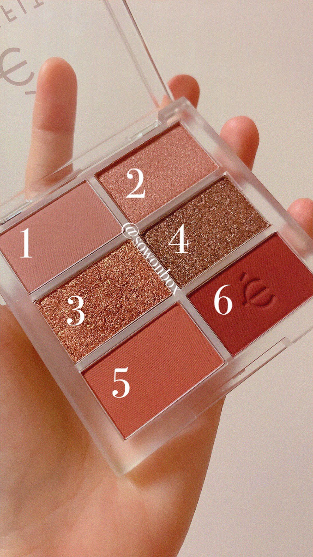 プロアイシャドウパレットセシル/CELEFIT/アイシャドウパレットを使ったクチコミ(2枚目)