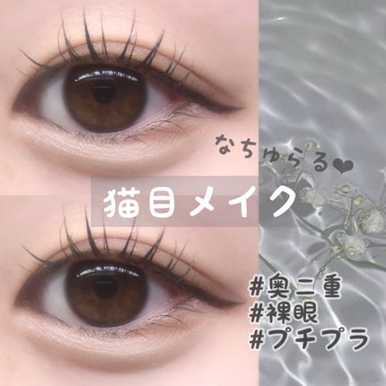 パーフェクトマルチアイズ/キャンメイク/アイシャドウパレットを使ったクチコミ(1枚目)