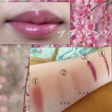 オペラ リップティント N/OPERA/リップティントを使ったクチコミ(2枚目)