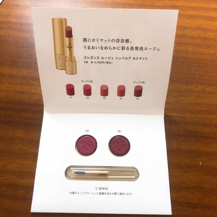 Elégance エレガンス ルージュ シュペルブのクチコミ「秋の新色 キープ力高リップ
♡Elégance ルージュ シュペルブ 02 05
SAKU.....」(2枚目)