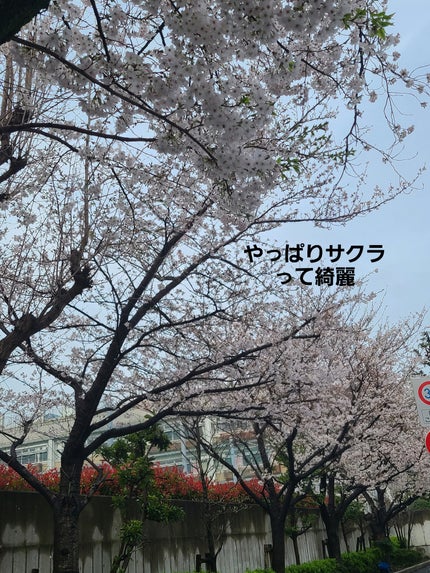 アイ カラー クォード/TOM FORD BEAUTY/アイシャドウパレットを使ったクチコミ(5枚目)