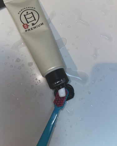 歯磨き堂 薬用ホワイトニングペースト プレミアム 60g/歯磨き堂/歯磨き粉の画像