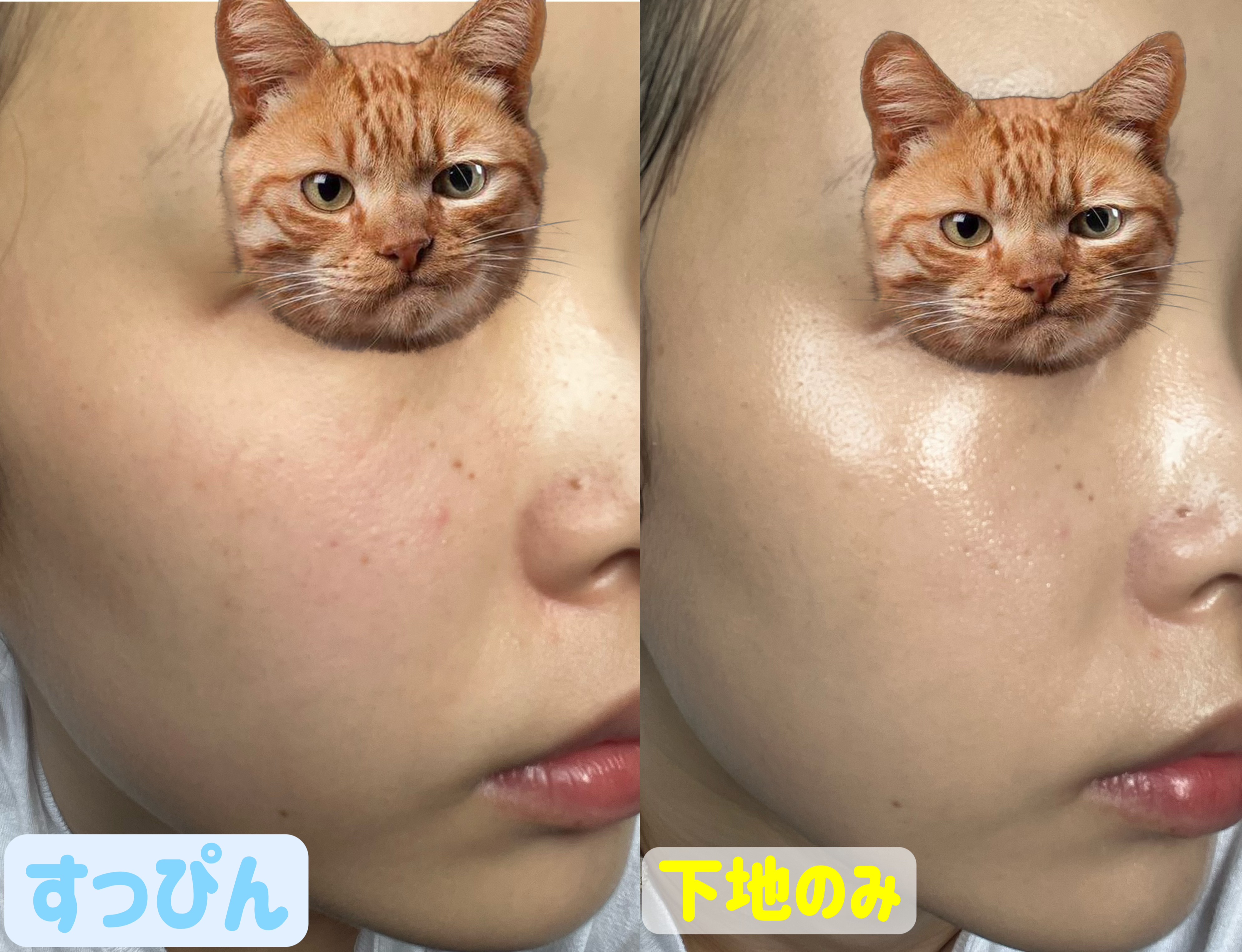 メイクアップ クリームＮ/ナチュラグラッセ/化粧下地を使ったクチコミ（2枚目）