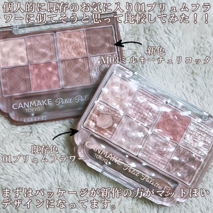 プティパレットアイズ/キャンメイク/パウダーアイシャドウを使ったクチコミ(7枚目)