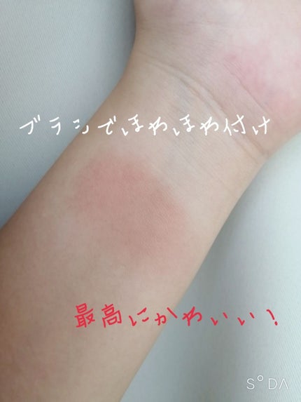 ナチュラル チークN/CEZANNE/パウダーチークを使ったクチコミ(3枚目)