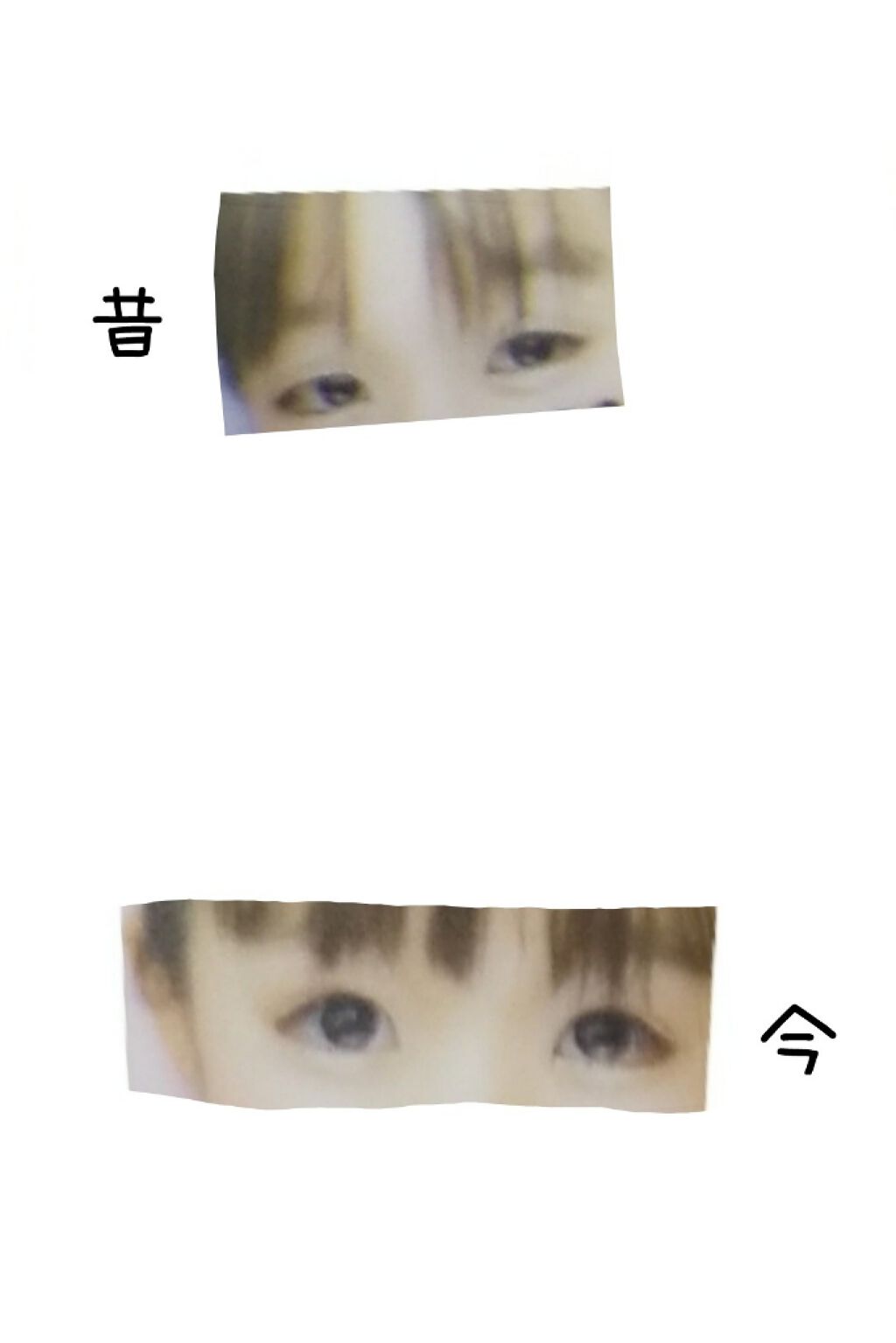 アイトーク/アイトーク/二重まぶた用アイテムを使ったクチコミ(3枚目)