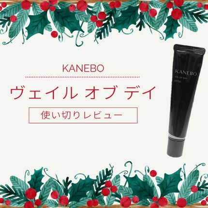 ヴェイル オブ デイ/KANEBO/日焼け止めローションを使ったクチコミ(1枚目)