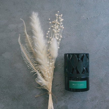 MoriLabo ナイトケア 花粉バリアポット/エステー/その他を使ったクチコミ(2枚目)