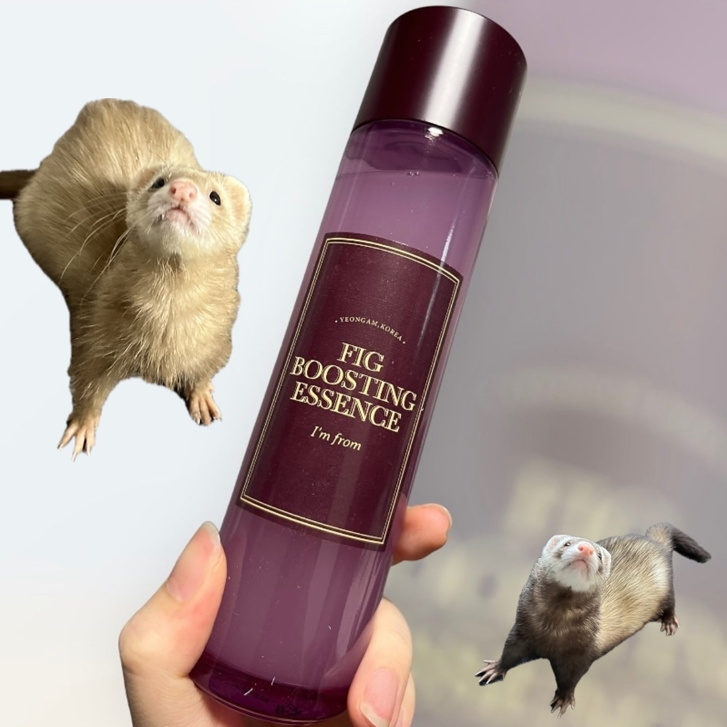 フィグブースティングエッセンス/I'm from/化粧水を使ったクチコミ(1枚目)