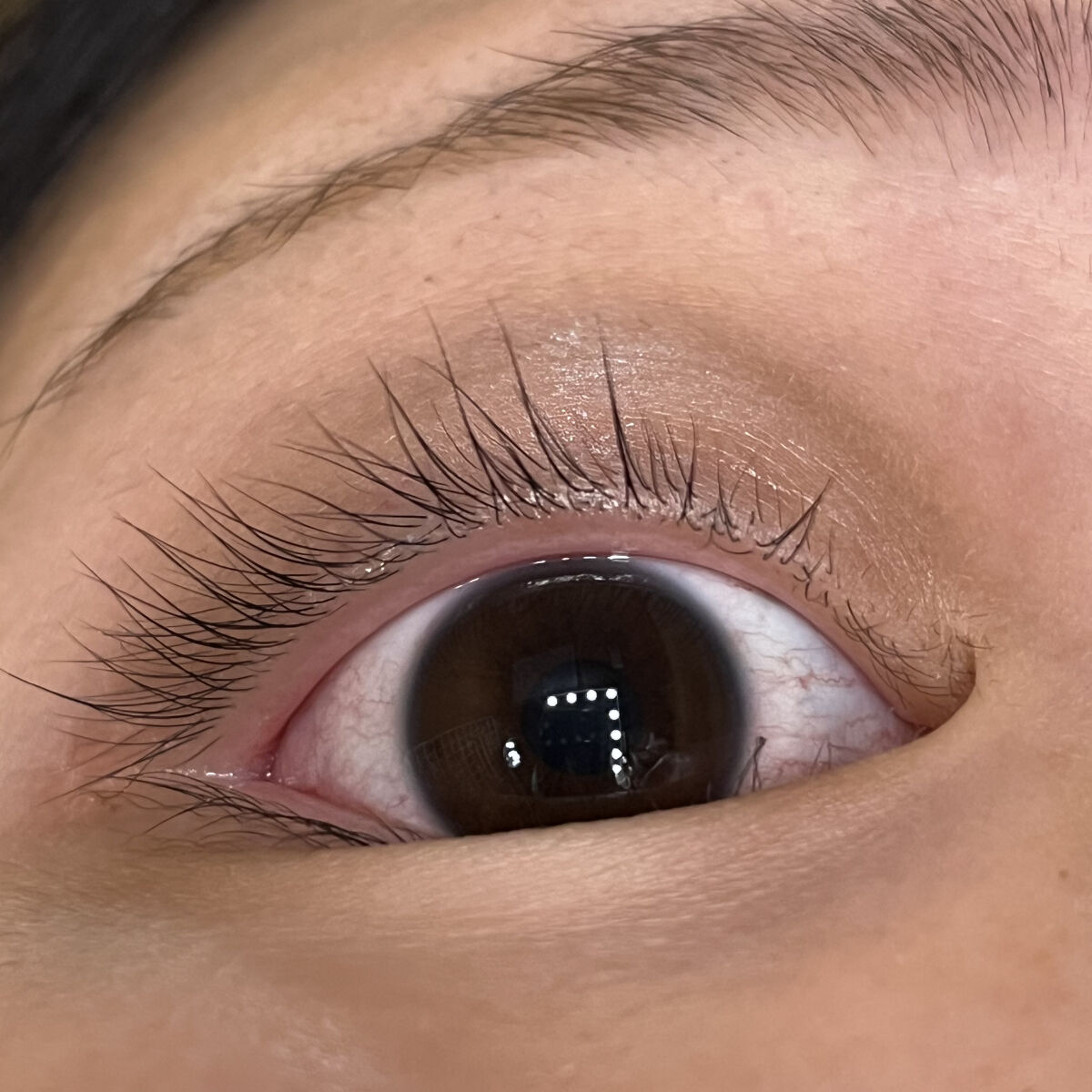 ウォータリング アイラッシュセラム/ヒロインメイク/まつげ美容液を使ったクチコミ（2枚目）