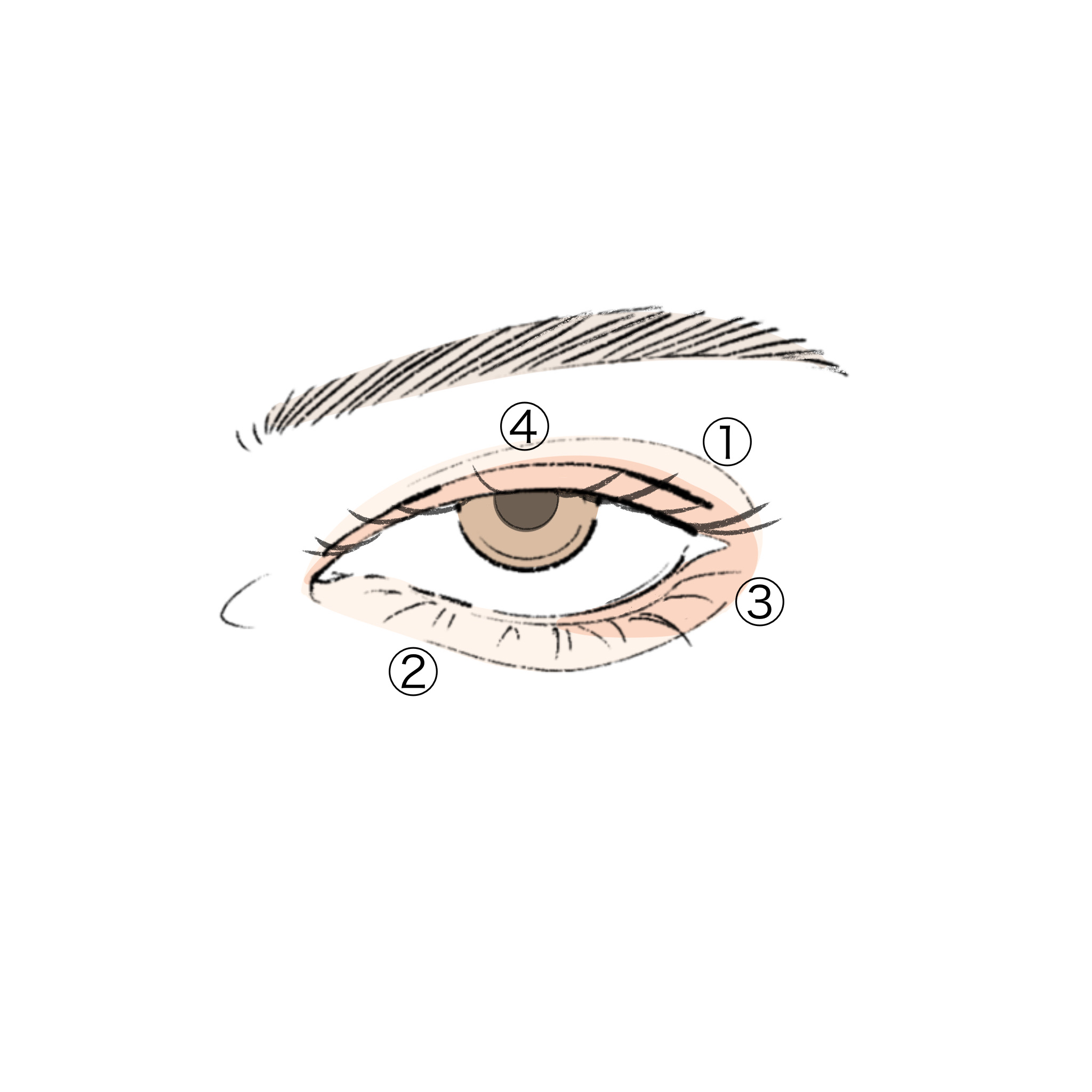 描くふたえアイライナー/CEZANNE/リキッドアイライナーを使ったクチコミ（3枚目）