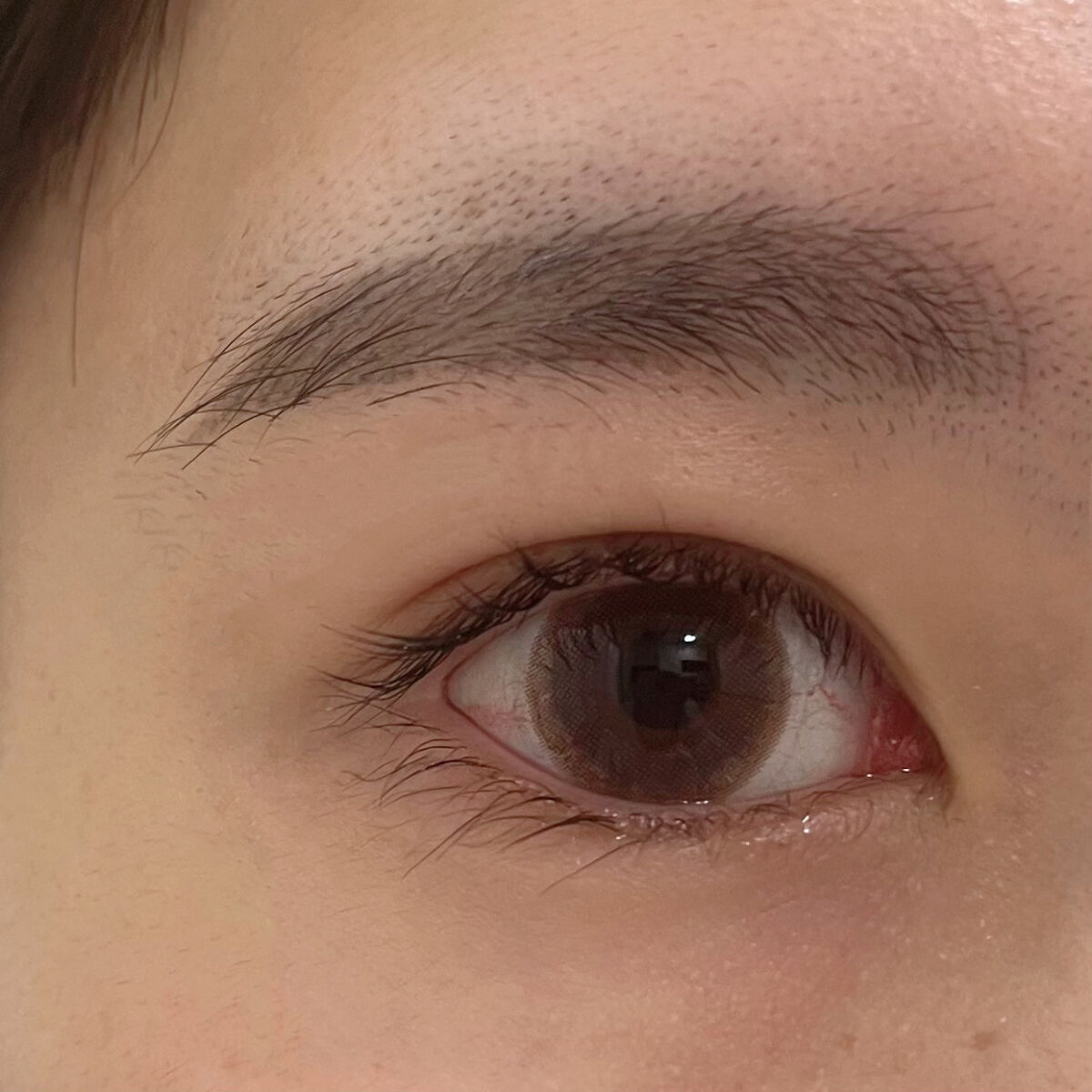 エバーカラーワンデー ナチュラル ひとめぼれの恋/エバーカラー/ワンデー（１DAY）カラコンを使ったクチコミ（3枚目）