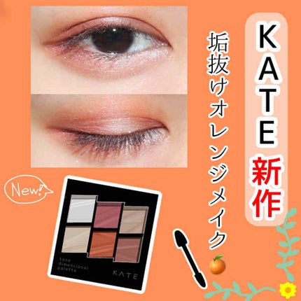 トーンディメンショナルパレット/KATE/メイクアップキットを使ったクチコミ(1枚目)