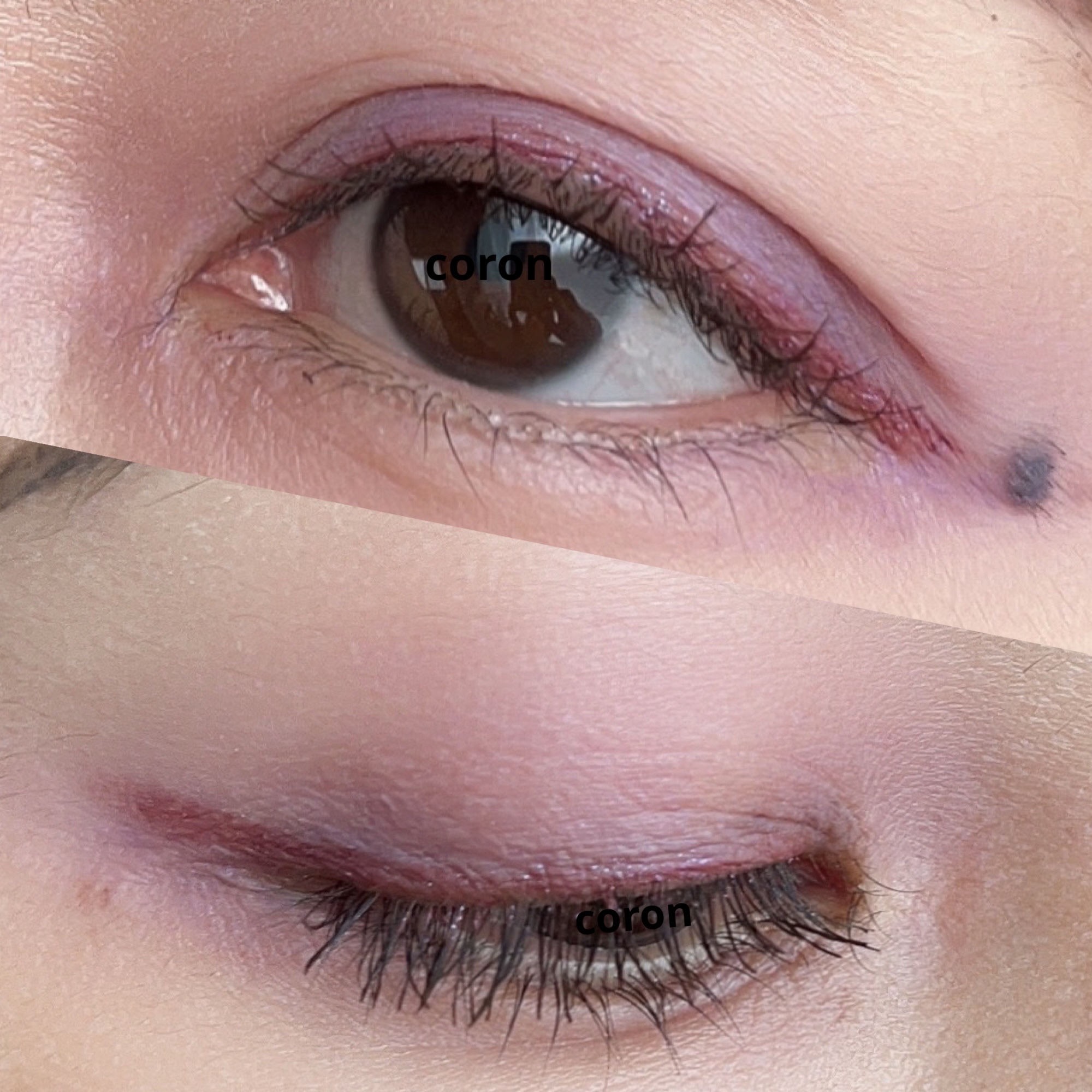 ビオモイスチュアチーク/MiMC/パウダーチークを使ったクチコミ（2枚目）