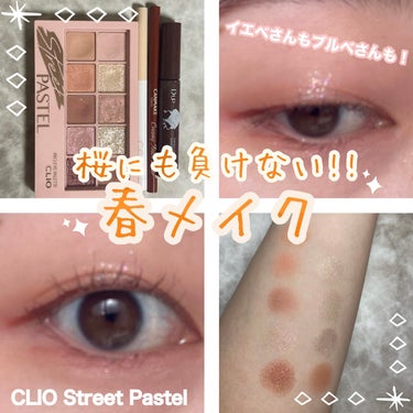 プロ アイ パレット/CLIO/パウダーアイシャドウを使ったクチコミ（1枚目）