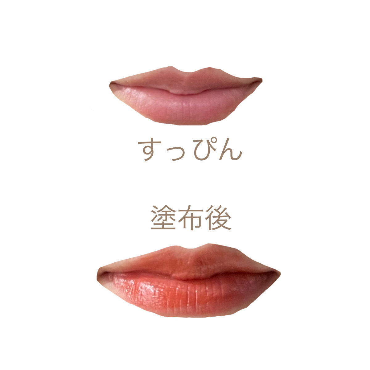 エンスロール マット リップス/Celvoke/口紅を使ったクチコミ（2枚目）