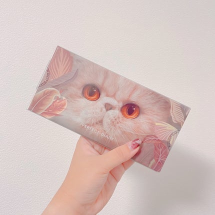 エクスプローラ12色 動物アイシャドウパレット/PERFECT DIARY/アイシャドウパレットを使ったクチコミ(4枚目)