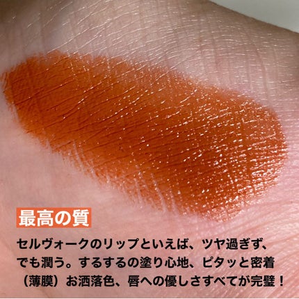ディグニファイド リップス/Celvoke/口紅を使ったクチコミ(3枚目)