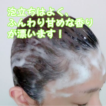 ヘルシースカルプ シャンプー リペア/コンディショナー リペア/イヴ・ロシェ/市販シャンプーを使ったクチコミ(4枚目)