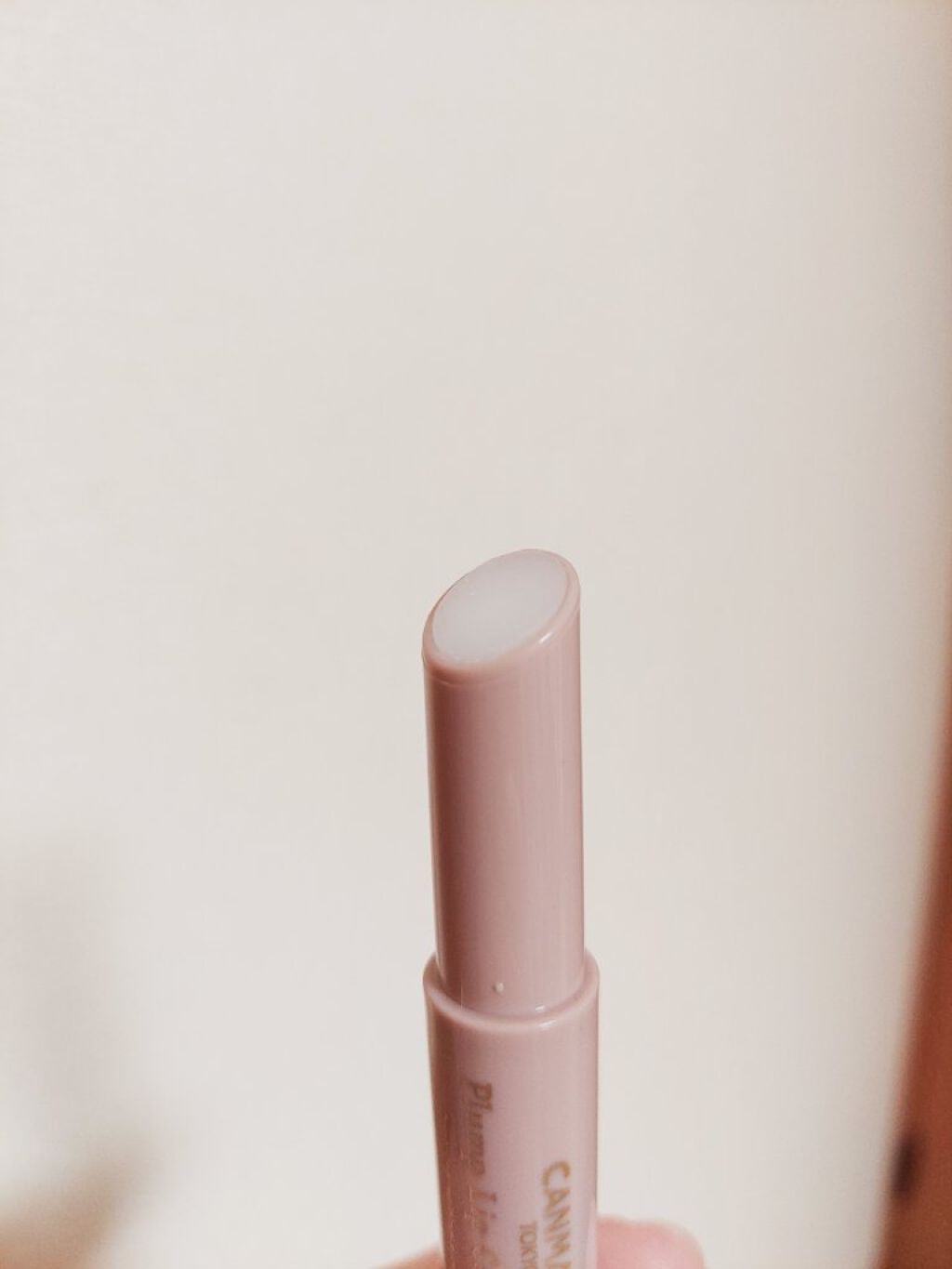 プランプリップケアスクラブ/キャンメイク/リップスクラブを使ったクチコミ（2枚目）