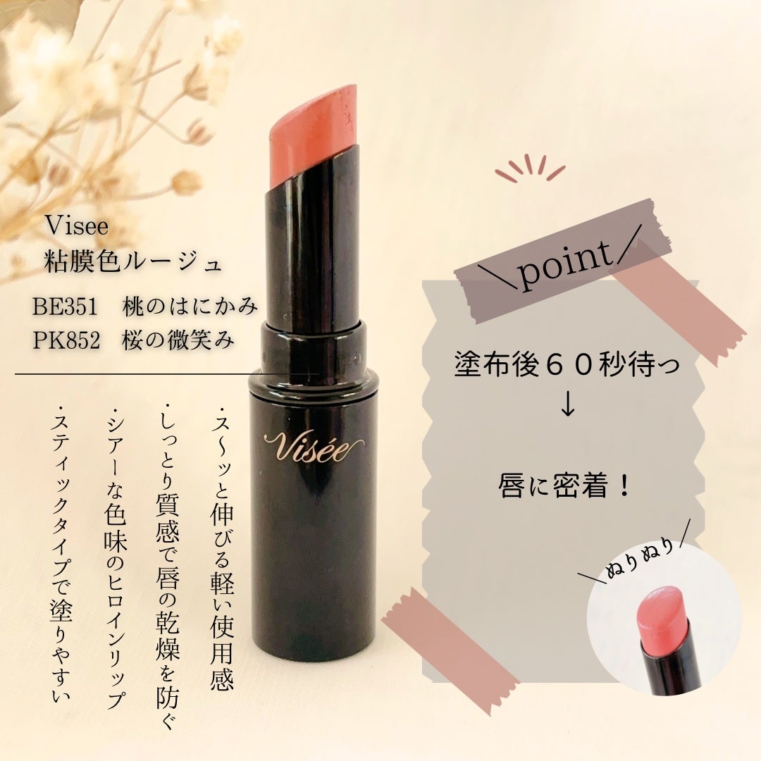 ネンマクフェイク ルージュ/Visée/口紅を使ったクチコミ(2枚目)