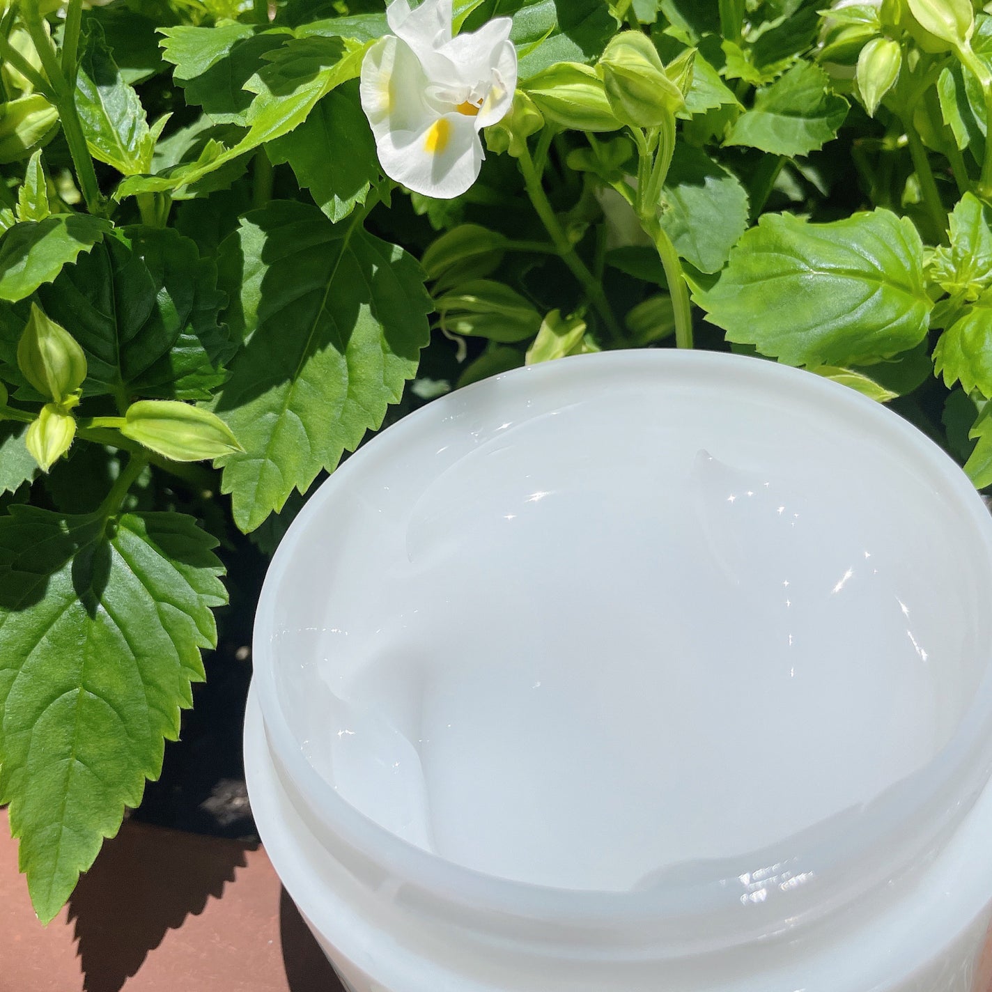 たまご保湿ジェル/ココエッグ/美容液を使ったクチコミ(2枚目)