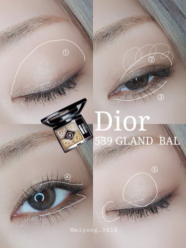 【旧】サンク クルール クチュール 539 グラン バル/Dior/アイシャドウパレットを使ったクチコミ（3枚目）