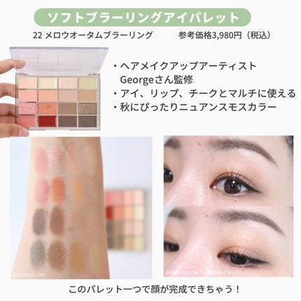 ソフトブラーリングアイパレット/wakemake/アイシャドウパレットを使ったクチコミ(2枚目)