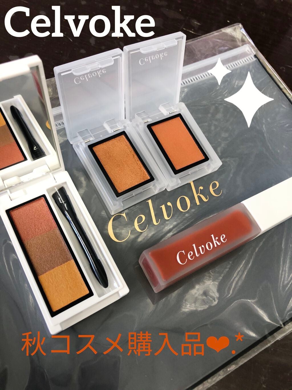 エンスロール マット リップス/Celvoke/口紅を使ったクチコミ(1枚目)