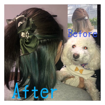 エンシェールズカラーバター/エンシェールズ/ヘアカラーを使ったクチコミ(1枚目)