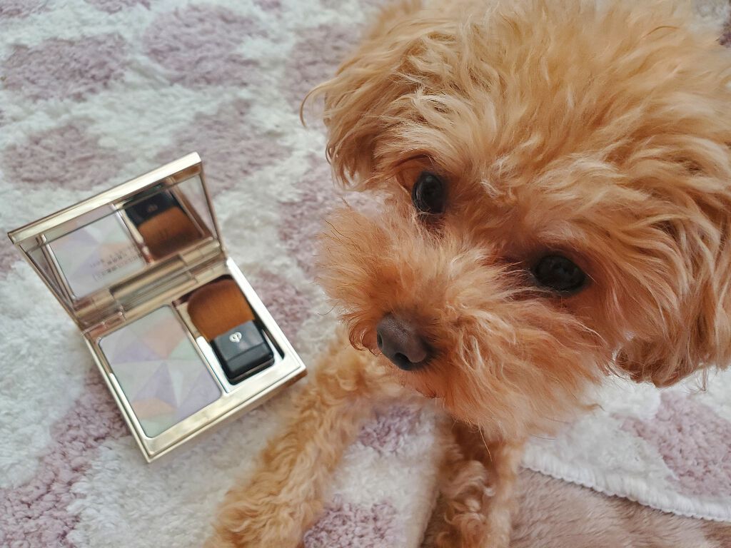 クレ・ド・ポー ボーテ レオスールデクラ/クレ・ド・ポー ボーテ/パウダーハイライトを使ったクチコミ(2枚目)