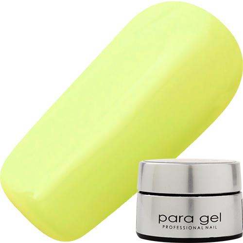 パラジェル DL04 グリーンアップル