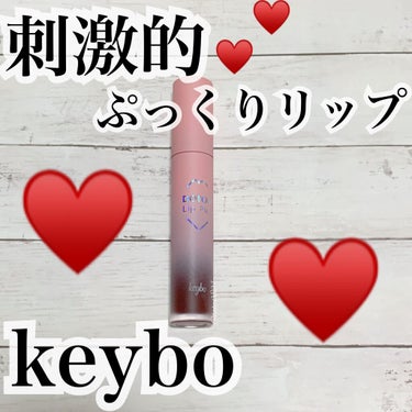 ドトムリッププラスプランパー 09 ウィンターベリー(Winter Berry）/keybo/リップグロスを使ったクチコミ（1枚目）