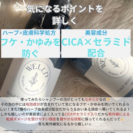 薬用スカルプケアシャンプー/トリートメント モイスト/WELLP/市販シャンプーを使ったクチコミ(4枚目)