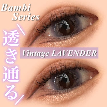 Angelcolor Bambi Series Vintage 1day/AngelColor/ワンデー（１DAY）カラコンを使ったクチコミ（1枚目）