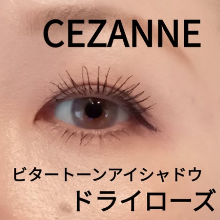 ビタートーンアイシャドウ/CEZANNE/パウダーアイシャドウを使ったクチコミ(1枚目)