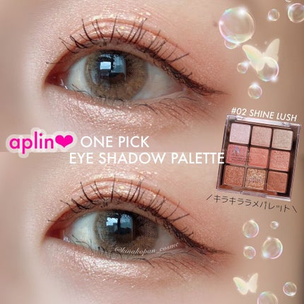 ワンピックアイシャドウパレット/APLIN/アイシャドウパレットを使ったクチコミ(1枚目)