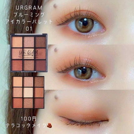 UR GLAM BLOOMING EYE COLOR PALETTE/U R GLAM/アイシャドウパレットを使ったクチコミ(1枚目)