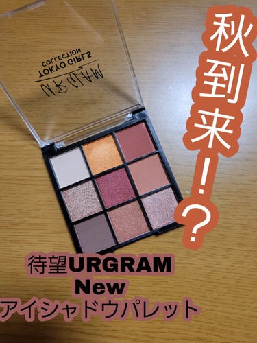 UR GLAM　BLOOMING EYE COLOR PALETTE/U R GLAM/アイシャドウパレットを使ったクチコミ（1枚目）