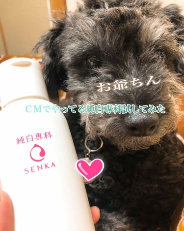 純白専科 すっぴん美容水 I/SENKA（専科）/化粧水を使ったクチコミ（1枚目）