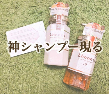 ディープモイスト シャンプー1.0／ヘアトリートメント2.0/&honey/シャンプー・コンディショナーを使ったクチコミ（1枚目）