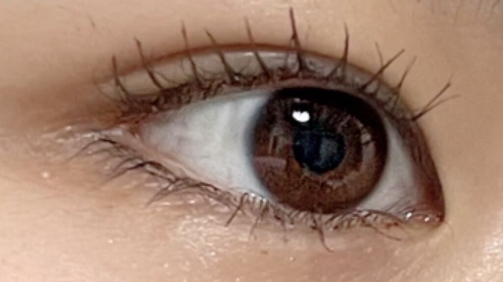 Volume＆curl Mascara BROWN/Style by Aiahn/マスカラを使ったクチコミ（2枚目）