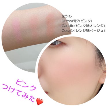 ヴィンテージ フィルター チーク パレット Vintage Filter Edition/innisfree/パウダーチークを使ったクチコミ（2枚目）